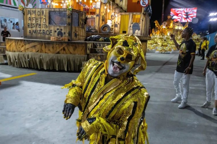 Ma tko ne bi volio biti ovdje! Glamurozni kostimi na najvećem karnevalu: Pogledajte raskošne prizore iz Rija