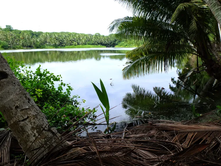 2. Nauru je država bez glavnog grada: Ova otočna država nalazi se u središnjem Pacifiku i jedina je zemlja na svijetu bez glavnog grada. Osim toga, njezin geografski oblik neodoljivo podsjeća na krumpir.
