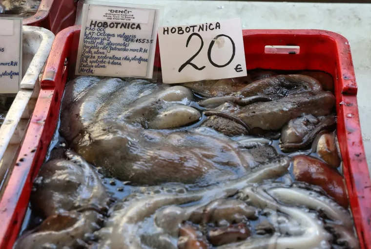 Živahno na šibenskoj tržnici: Pogledajte po kojim se cijenama prodaju orade, škarpine, brancini
