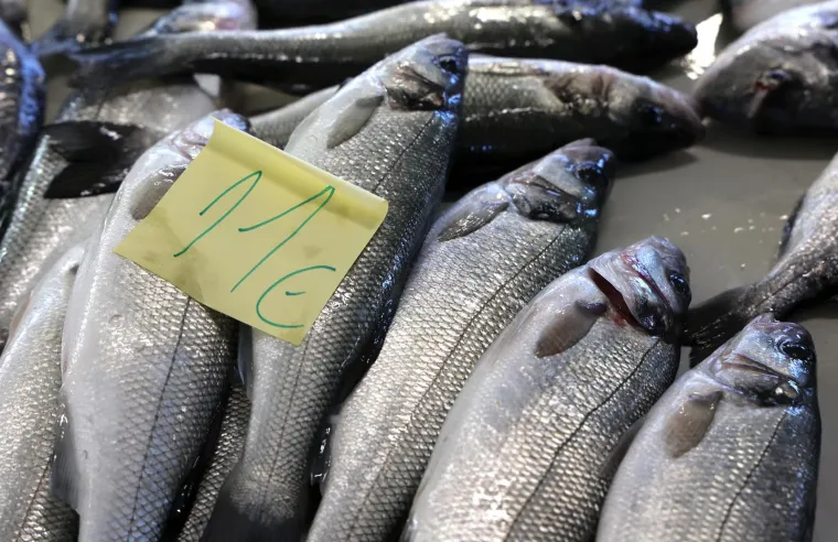 Brancin se prodaje po cijeni od 11 eura po kilogramu