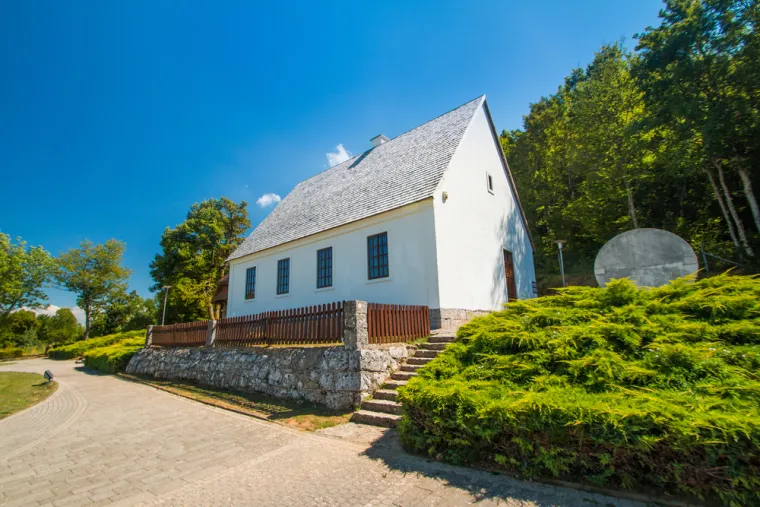 Nakon završene gimnazije 1873. godine Tesla se vratio u rodni grad. Nedugo nakon toga dobio je koleru, jednu od najopasnijih bolesti 19. stoljeća. Kolera ga je prikovala za krevet dugih devet mjeseci i nekoliko puta ga dovela blizu smrti.