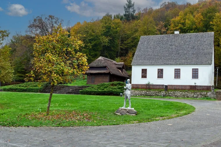 &quot;Kolera je bila mučna, ne samo zbog fizičkih muka, već i zbog moje žestoke volje za životom. Dok sam ležao u komi i buncao na samrti, moj otac, koji je želio da i ja budem svećenik, podigao mi je raspoloženje obećanjem da će mi dopustiti da studiram inženjerstvo. Ispoštovao je svoju riječ&quot;, napisao je Tesla koji je 1875. godine upisao Visoku tehničku školu u austrijskom Grazu.