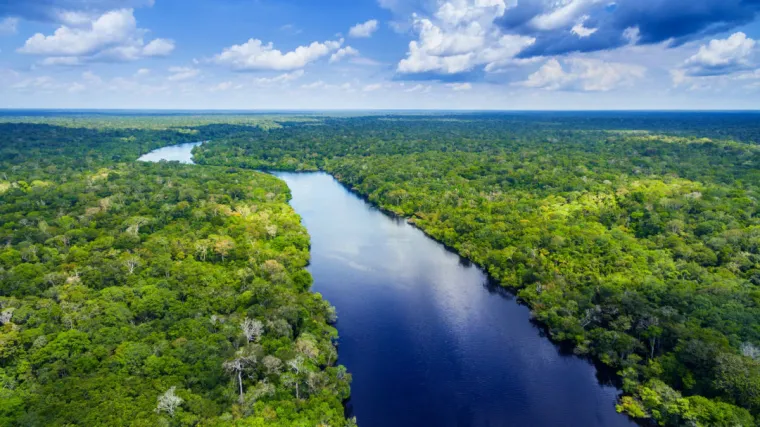 2. Amazonska prašuma: S površinom od 5.500.000 kvadratnih kilometara, ova ogromna šuma prostire se kroz devet zemalja, ali većina njezine površine pripada Brazilu. Unatoč istraživanjima, veliki dio Amazonske prašume ostaje neistražen. Vjeruje se da unutar Amazone žive neotkrivene biljne i životinjske vrste, kao i izolirana domorodačka plemena koja nikada nisu imala kontakt s modernom civilizacijom. 