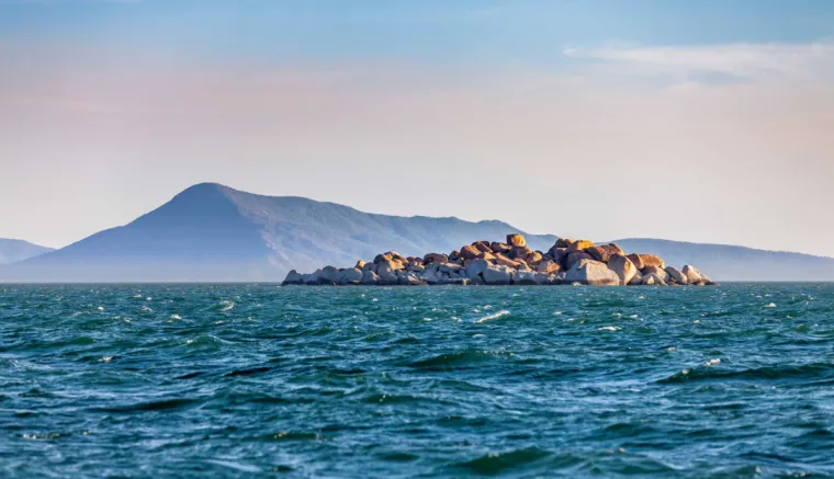 11. Cape Melville, Australija: Nacionalni park Cape Melville u Queenslandu nedavno je otkrio tri nova životinjska svijeta, što potvrđuje njegovu izoliranost i neistraženost. Njegova nepristupačnost čini ga domom za brojne endemske vrste, od kojih su neke otkrivene tek nedavno. Park se nalazi 1711 km sjeverozapadno od Brisbanea. Njegove glavne značajke su stjenoviti rt Cape Melville, granitni kameni planinskog lanca Melville i zaljev Bathurst Bay.