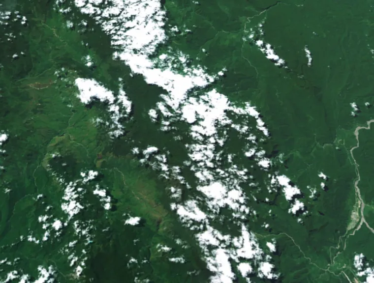 18. Zvjezdane planine, Papua Nova Gvineja: S nadmorskom visinom od 4509 metara najviši je vrh Papue Nove Gvineje. Ovaj udaljeni planinski lanac u velikoj je mjeri neistražen. Nedavna ekspedicija otkrila je gotovo 100 novih vrsta biljaka i životinja. Zvjezdane planine imaju godišnju količinu oborina veću od 10.000 mm, a iako nikada nije uspostavljena službena meteorološka stanica, tvrdi se da je to jedno od najkišovitijih mjesta na Zemlji.