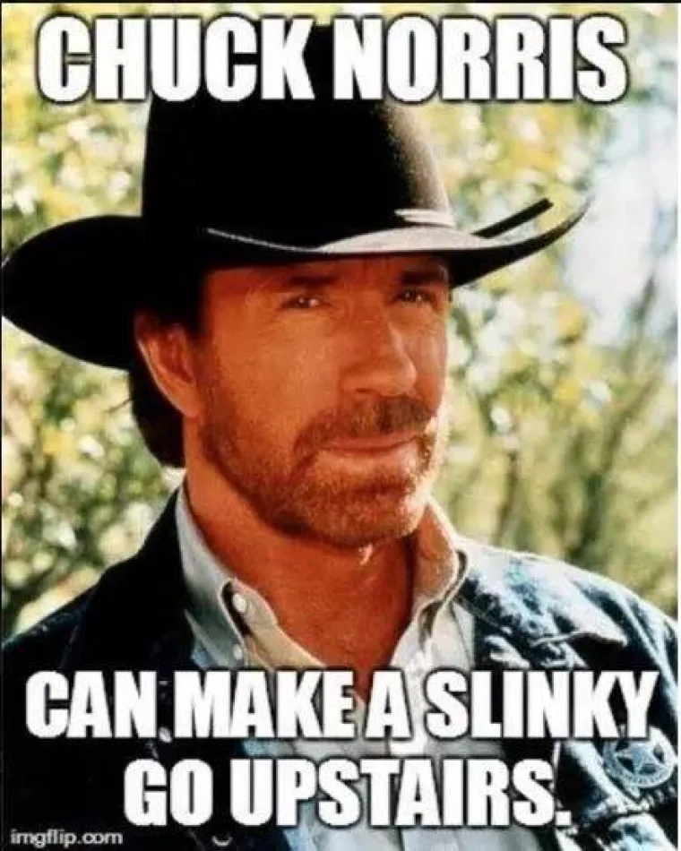 &quot;Chuck Norris može natjerati puža da se popne uz stepenice&quot;