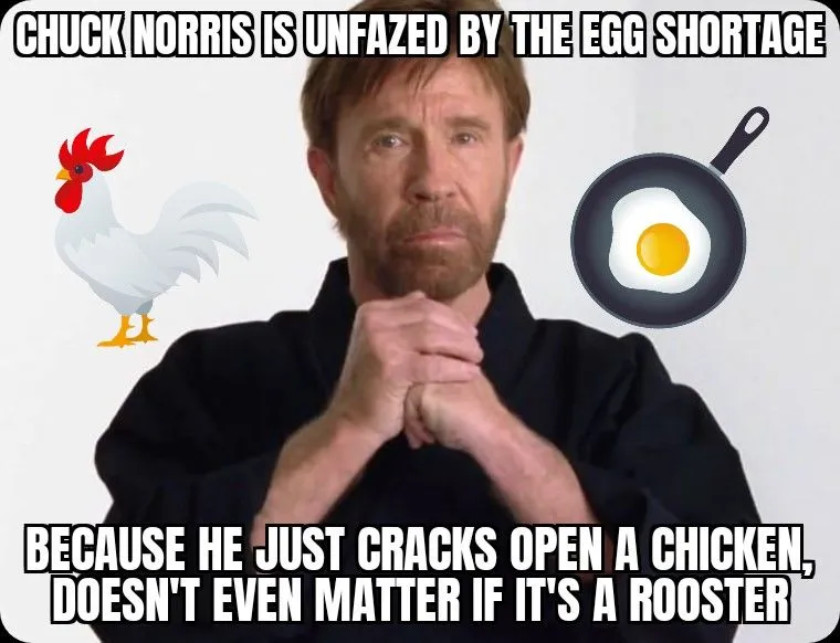 &quot;Chuck Norris se ne zamara nestašicom jaja – on samo razbije kokoš, nije ni bitno je li pijetao&quot;