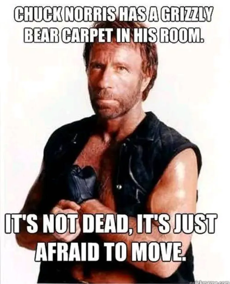 &quot;Chuck Norris ima tepih od medvjeda grizlija u svojoj sobi. Nije mrtav, samo se boji pomaknuti&quot;