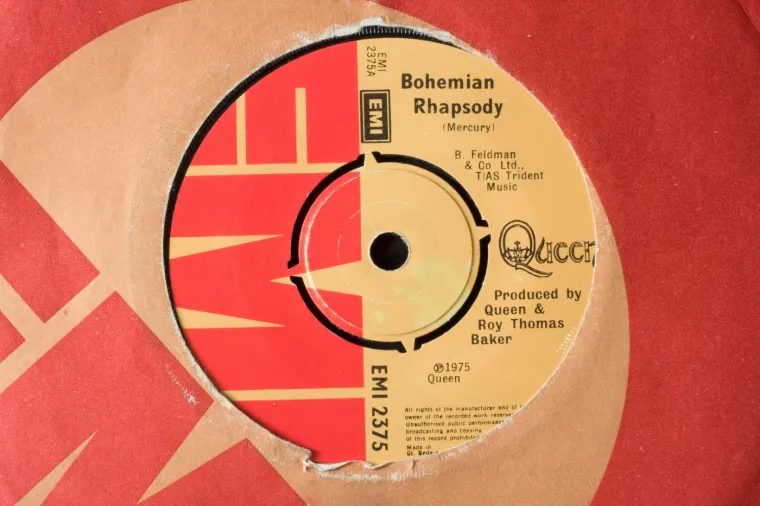 Rijetke vinilne ploče izvođača poput Boba Dylana, Queena, Princea, The Beatlesa, Michaela Jacksona i Elvisa Presleya mogu postići visoke cijene. 