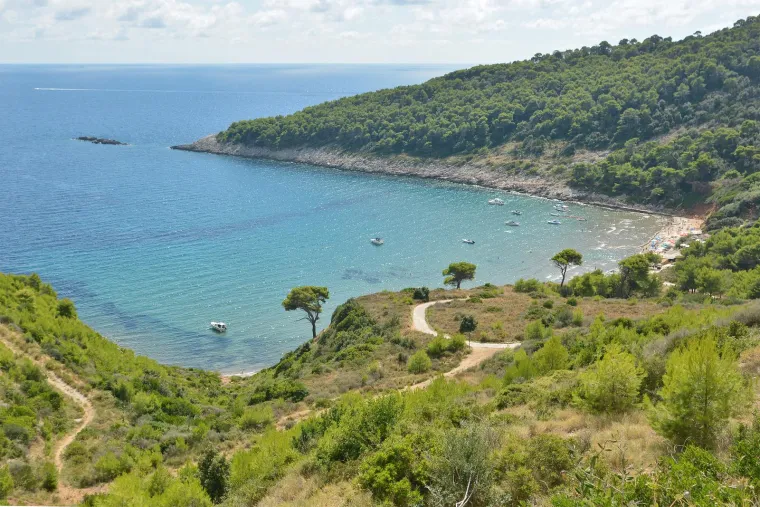 11. Šunj, Lopud: Plaža Šunj, na otoku Lopudu, idealna je za jednodnevni izlet iz Dubrovnika. Do plaže se može doći trajektom, a zatim 20-minutnom šetnjom od pristaništa. Šunj je poznata po plitkom, čistom moru, što je čini idealnom za obitelji s djecom. Na plaži se mogu iznajmiti ležaljke i suncobrani, a dostupne su i usluge masaže na plaži. U blizini se nalazi restoran Rajski Kutak–Bindo.