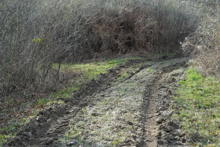 Vozilo je pronađeno na šumskom putu između mjesta Gora i Graberje. 