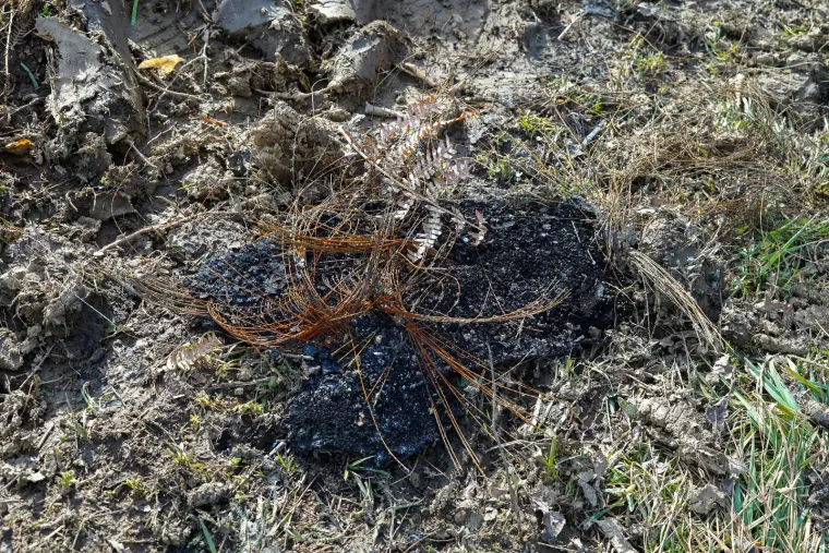 Ovdje su pronađeni ostaci žene u izgorenom vozilu, šokirani mještani: 'Čuli smo da je s njom bio neki stranac'