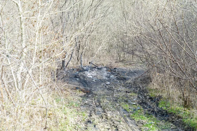 Ovdje su pronađeni ostaci žene u izgorenom vozilu, &scaron;okirani mje&scaron;tani: 'Čuli smo da je s njom bio neki stranac'