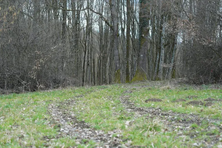 Ovdje su pronađeni ostaci žene u izgorenom vozilu, &scaron;okirani mje&scaron;tani: 'Čuli smo da je s njom bio neki stranac'