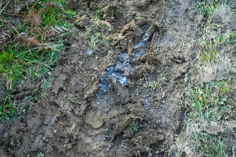 Ovdje su pronađeni ostaci žene u izgorenom vozilu, &scaron;okirani mje&scaron;tani: 'Čuli smo da je s njom bio neki stranac'