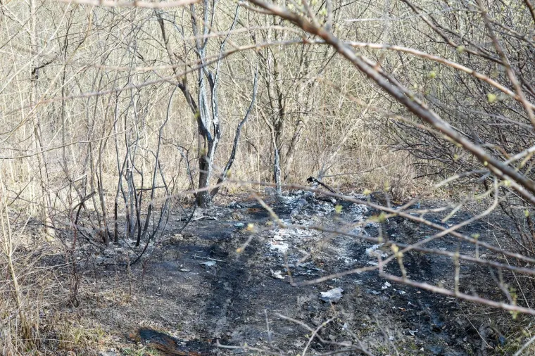 Ovdje su pronađeni ostaci žene u izgorenom vozilu, &scaron;okirani mje&scaron;tani: 'Čuli smo da je s njom bio neki stranac'