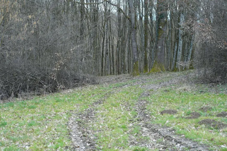 Ovdje su pronađeni ostaci žene u izgorenom vozilu, &scaron;okirani mje&scaron;tani: 'Čuli smo da je s njom bio neki stranac'