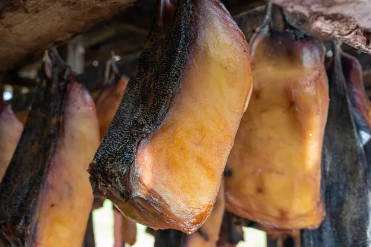 5. Hákarl (fermentirani morski pas): Islandski Hákarl, napravljen od fermentiranog grenlandskog morskog psa, sadrži visoke razine amonijaka. Ako se nepravilno fermentira, može izazvati trovanje hranom, respiratorne probleme ili iritaciju želuca zbog svoje toksičnosti.
