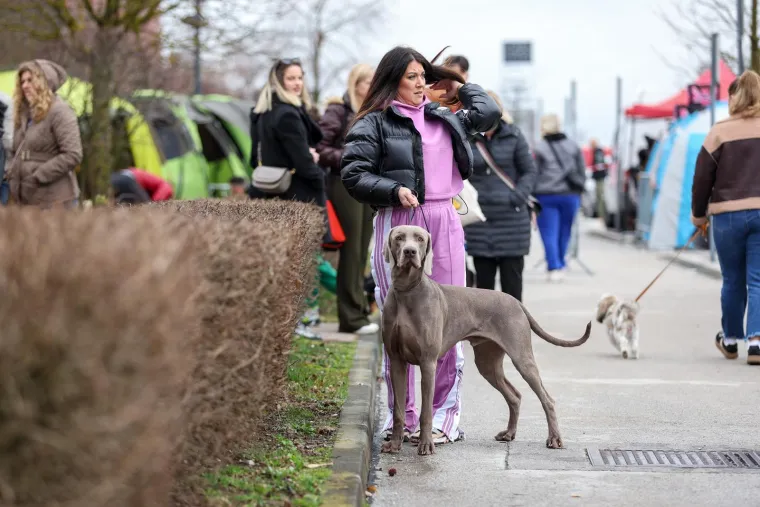 Izložba pasa u Zapre&scaron;iću: Ma pogledajte ove medene nju&scaron;ke, jedna je odnijela pobjedu