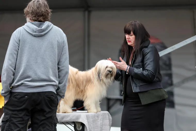 Izložba pasa u Zapre&scaron;iću: Ma pogledajte ove medene nju&scaron;ke, jedna je odnijela pobjedu