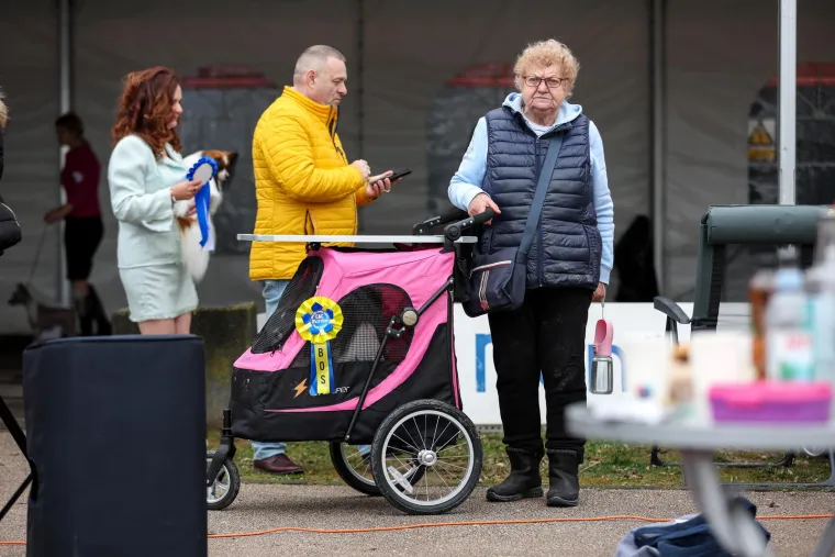 Izložba pasa u Zapre&scaron;iću: Ma pogledajte ove medene nju&scaron;ke, jedna je odnijela pobjedu