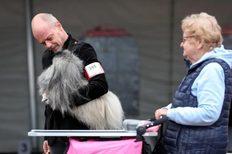 Izložba pasa u Zapre&scaron;iću: Ma pogledajte ove medene nju&scaron;ke, jedna je odnijela pobjedu