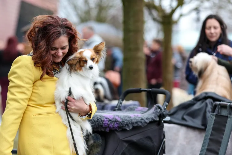 Izložba pasa u Zapre&scaron;iću: Ma pogledajte ove medene nju&scaron;ke, jedna je odnijela pobjedu