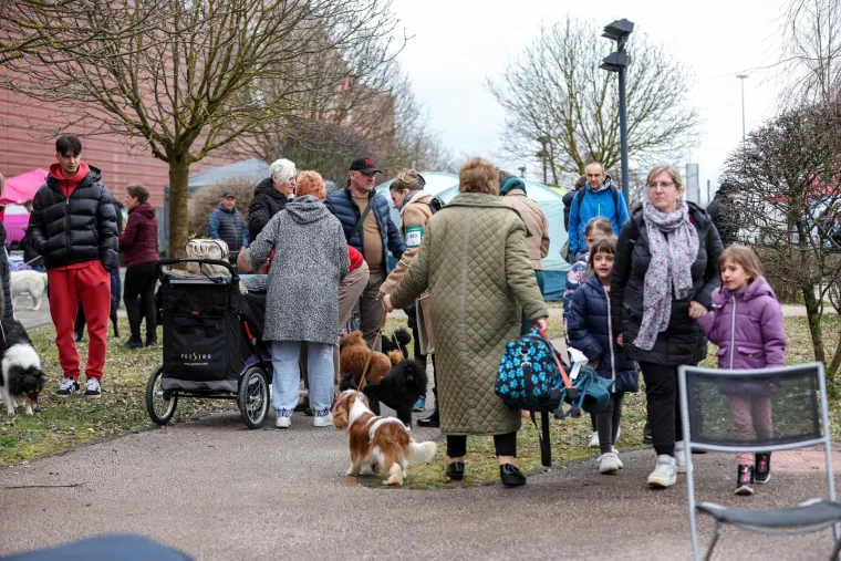 Izložba pasa u Zapre&scaron;iću: Ma pogledajte ove medene nju&scaron;ke, jedna je odnijela pobjedu