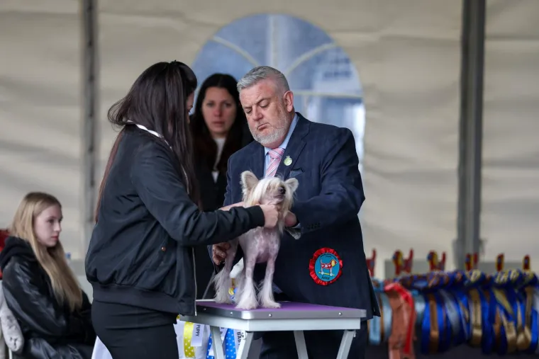Izložba pasa u Zapre&scaron;iću: Ma pogledajte ove medene nju&scaron;ke, jedna je odnijela pobjedu