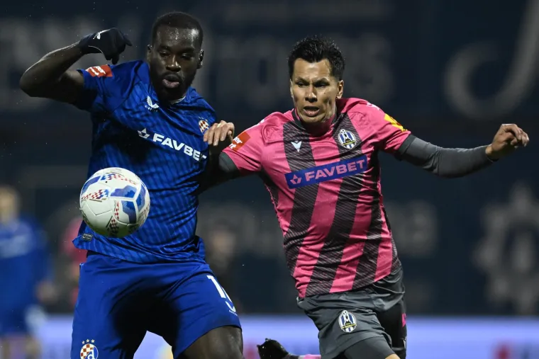 Wilfried Kanga u borbi za loptu. 