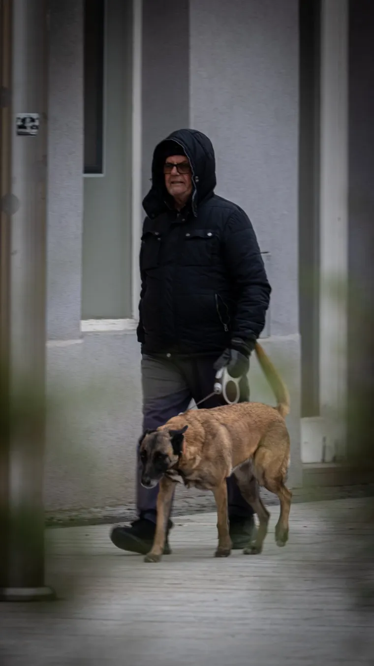 Vlasnici su šetali svoje ljubimce.