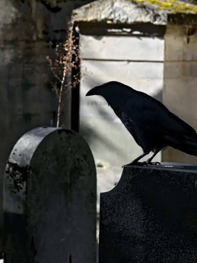 Iako su navodno mnogi pokušali osvojiti nagradu, nitko nije uspio izdržati. Legenda kaže da su neki poludjeli, neki doživjeli srčani udar, a neki su osjećali kako im vampirski entitet crpi životnu energiju. 