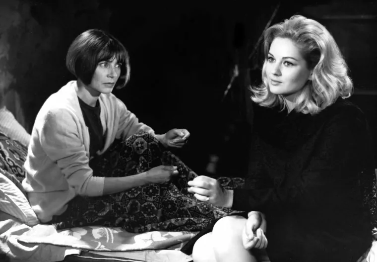 Bila je prva Dikanova žena, borila se za skrbni&scaron;tvo nad sinom: Ovako danas izgleda Beba Lončar