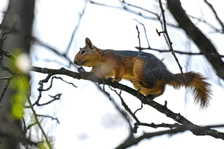 S proljetnim ekvinocijem, dani postaju duži, a noći kraće. Vi&scaron;e sunčeve svjetlosti i topline potiče nas na boravak na otvorenom.