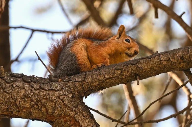 Ovo je idealno vrijeme za &scaron;etnje, planinarenje, vožnju biciklom i druge aktivnosti u prirodi.