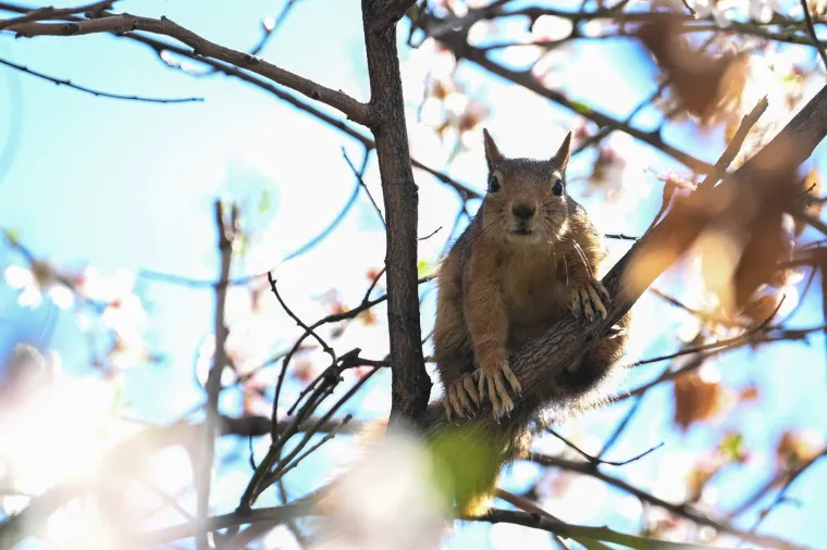 Proljeće nije samo vrijeme obnove u prirodi, već i prilika za osobni rast i nove početke. Inspirirani buđenjem prirode, možemo osjetiti poticaj za promjenama u vlastitim životima.
