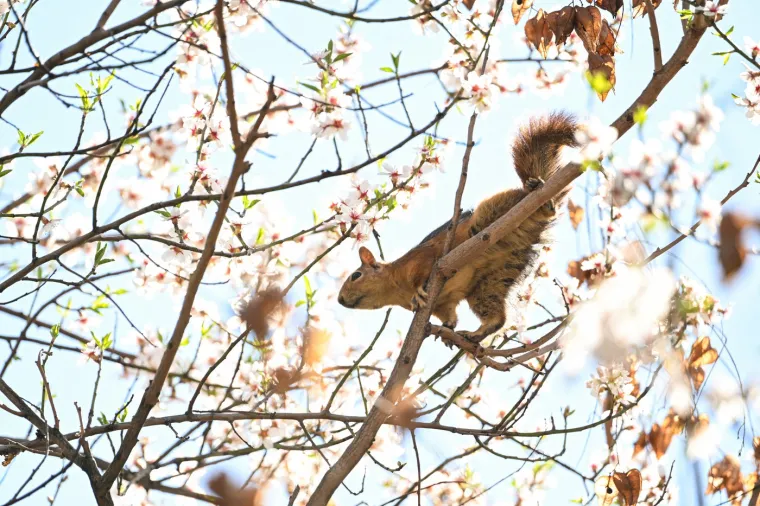 Ovo je idealno vrijeme za postavljanje novih ciljeva, usvajanje zdravijih navika i posvećivanje aktivnostima koje nas ispunjavaju.