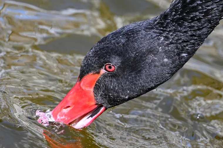 Proljeće je, dakle, mnogo vi&scaron;e od samo jednog godi&scaron;njeg doba. Ono je simbol nade, obnove i novih mogućnosti, kako u prirodi, tako i u na&scaron;im životima. Iskoristimo ovo vrijeme za uživanje u ljepotama prirode, za osobni rast i za stvaranje pozitivnih promjena.