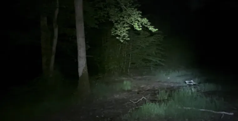 DERING WOODS - Poznata i kao &quot;Šuma vrištanja&quot;, nalazi se u Kentu u Engleskoj, a krije mračne tajne. Posjetitelji često prijavljuju zastrašujuće krikove koji odjekuju kroz gusto drveće, posebno u maglovitim noćima. Legenda kaže da su to glasovi izgubljenih duša koje su zalutale i umrle u šumi tijekom stoljeća. Priče o sablasnom razbojniku iz 18. stoljeća kojem su seljani odrubili glavu dodatno pojačavaju jezivu atmosferu. Neki tvrde da su vidjeli neobična svjetla i sjene koje ih prate, dok drugi govore o neobjašnjivim nestancima posjetitelja. Prisutnost neolitskih lokaliteta u blizini samo doprinosi mističnoj energiji ovog ukletog mjesta, što čini Dering Woods jednom od najstrašnijih šuma u Engleskoj.