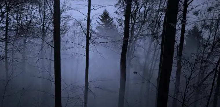 FREETOWN FALL RIVER STATE - Ova zloglasna šuma u srcu Massachusettsa poznata je po širokom spektru paranormalnih aktivnosti koje privlače znatiželjnike i lovce na duhove iz cijelog svijeta. Smještena unutar ozloglašenog Bridgewater trokuta, područja poznatog po visokoj koncentraciji neobjašnjivih fenomena, ova šuma krije mračne tajne koje sežu još iz kolonijalnih vremena. Posjetitelji često prijavljuju viđenja NLO-a i neobjašnjivih svjetala, susrete s duhovima i poltergeistima, te jezive osjećaje jeze i straha, posebno u blizini zloglasnog Assonet Ledgea. Lokalne legende govore o Pukwudgiesima, malenim, zločestim stvorenjima iz Wampanoag mitologije, koja navodno nastanjuju šumu i zbijaju neslane šale s ljudima. Šuma je također povezana s jezivim pričama o ritualnim ubojstvima, nestancima ljudi i navodnim aktivnostima sotonističkih kultova. Freetown-Fall River State šuma ostaje enigma koja privlači one koji se usude istražiti njene mračne tajne, te nudi jedinstveno i uznemirujuće iskustvo za ljubitelje paranormalnog.