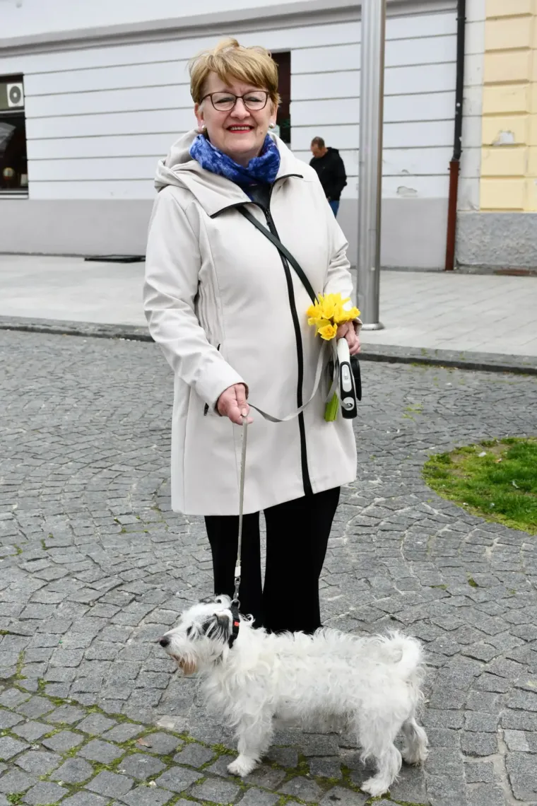 Subotnja &scaron;pica u Čakovcu