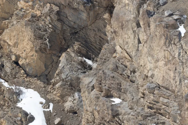Britanski fotograf Dale R. Morris i njegov francuski kolega Remi Vacher ostvarili su nešto gotovo nevjerojatno – uspjeli su snimiti snježnog leoparda u njegovom prirodnom staništu, u surovim planinama Indije.