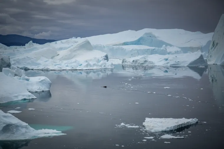 Najveći je otok na svijetu, a oko njega se trenutno vode bitke. Znate li uopće kako izgleda?