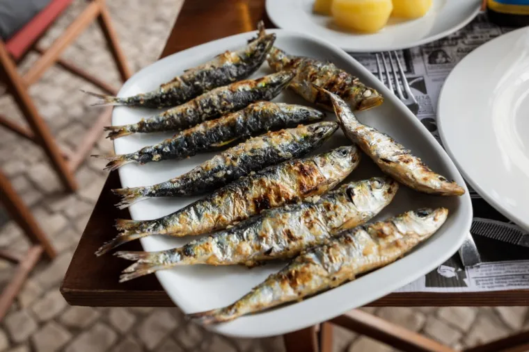Sardine su izvrstan izbor za ljude koji žele povećati unos zdravih masti i proteina, a istovremeno uživati u ukusnim obrocima. Osim što se mogu jesti iz konzerve, sardine se mogu dodati u tjestenine, salate i sendviče za brzi i hranjivi obrok.