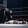 Bertić je desnim high kickom poslao suparnika na spavanje. 