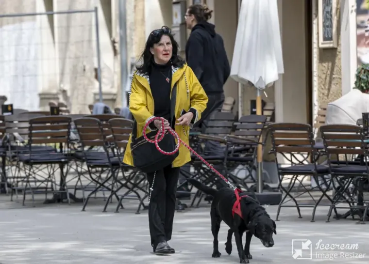 Samozatajne dame pravo su osvježenje na špici: Privukle su pažnje bez puno truda