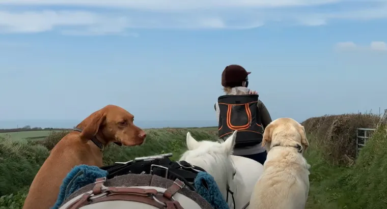Jedna od njezinih najviralnijih avantura uključivala je putovanje engleskim selima na hoverboardu, dok ju je pratilo njezinih šest vjernih ponija: Peggy, Albert, Cid, Ernie, Cedric i Cyril.