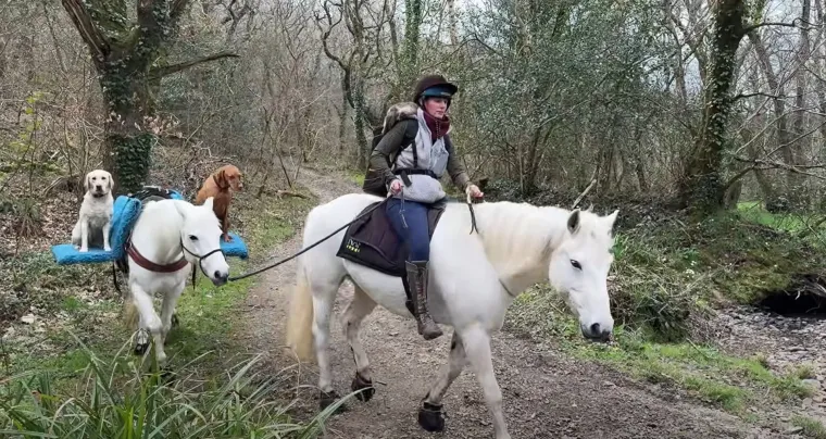 "Ovo je tako dirljivo! Morao sam gledati tri puta i mogao bih se vraćati gledati opet i opet. Stvorila si takav sklad i radost, Emma", istaknuo je treći.