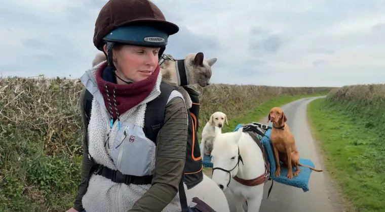 "Mislim da je ovo najdivniji video koji sam ikada vidio", zaključio je četvrti.