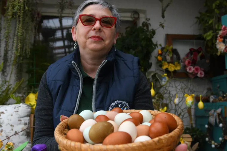 Neobične hrvatske kokoši kakve još niste vidjeli: Nose jaja u raznim bojama